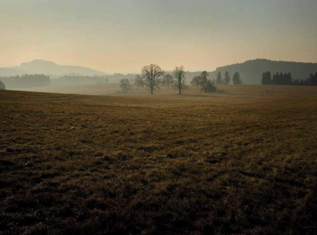 kraj Název členské MAS Region Pošembeří o.p.s. Ústecký MAS CÍNOVECKO o. p. s. Ústecký MAS České středohoří, z.s. Ústecký MAS Český sever, z.s. Ústecký MAS Labské skály, z.s. Ústecký MAS Naděje o.p.s. Ústecký MAS Sdružení Západní Krušnohoří, z.