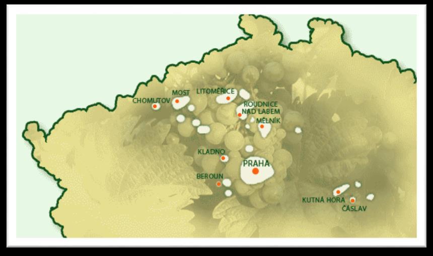 Praktická část 3. Vinařské regiony 3.1.Vinařská oblast Čechy Vinařská oblast Čechy patří k nejsevernějším vinařským oblastem v Evropě. Má pouze 4% registrovaných vinic v České republice.