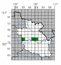 Elateridarium 11: 17-110, 2017 31 Obr. 33 Obr. 34 Obr. 35 Obr. 36 Obr. 37 Obr. 38 Lacon querceus (obr. 33) druh známý ze zóny dubových lesů.