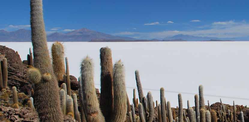 SALAR DE UYUNI UYUNI POTOSI SUCRE TARABUCO EL FUERTE DE SAMAIPATA SANTA CRUZ ploše větší než 10 tis.