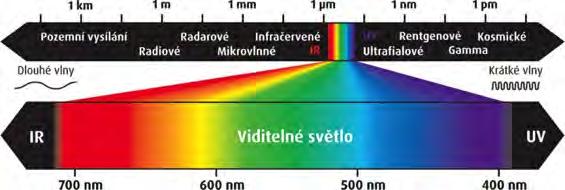 Obr. 2. Stavba sítnice oka s buňkami citlivými na modré světlo.