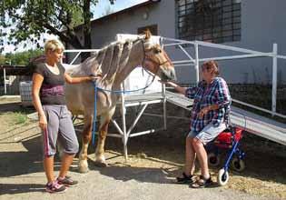 Koně vyžadují celoroční péči, kterou v našem sdružení vykonávají jezdecké instruktorky, které se o
