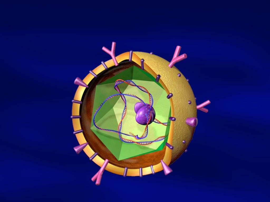 Virus