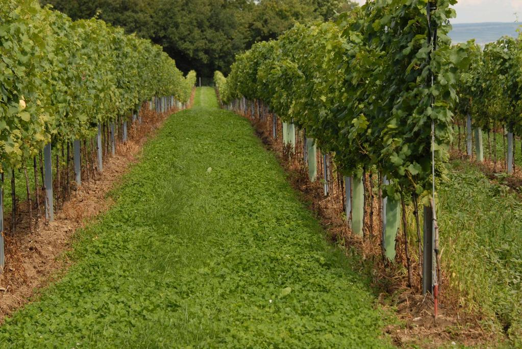 27.7.7 Vliv agrotechniky na utužení půdy