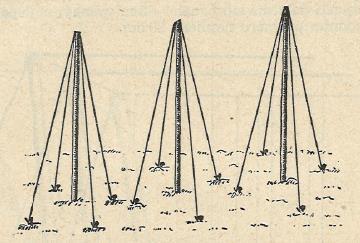 Obr. 7 - Pyramida (KONŮPEK, 1953) Metoda pyramid měla jen malý přínos při pěstování dlouhých a rovných výhonů.