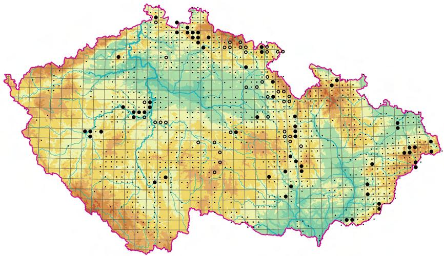 Aegopodion podagrariae Obr. 193.