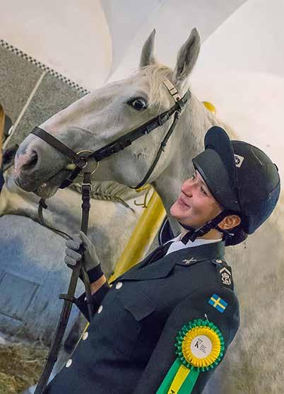 Spolupráce s královskými stájemi sedlají ve Švédsku starokladrubské koně z Národního hřebčína.
