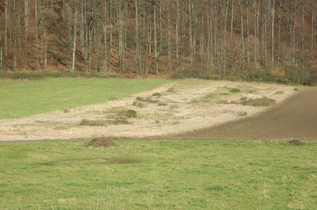 Orná půda bod 1 přílohy KatV Pozemek obdělávaný za účelem produkce plodin nebo pozemek, který je k dispozici pro rostlinnou výrobu, ale je ponechán ladem,