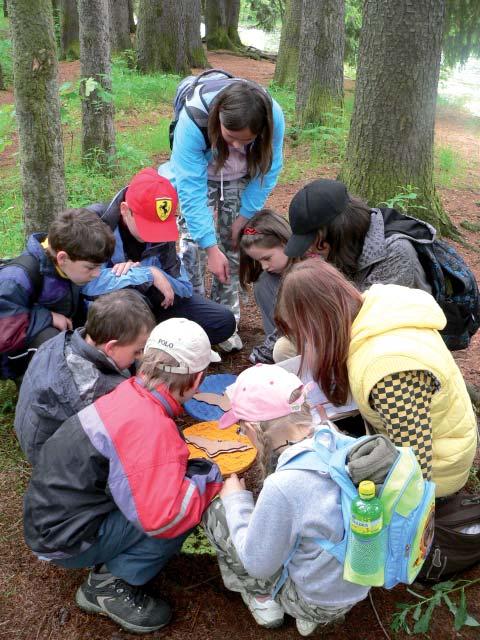 ENVIRONMENTÁLNÍ VÝCHOVA V NÁRODNÍM PARKU A CHRÁNĚNÉ KRAJINNÉ OBLASTI ŠUMAVA POJĎTE S NÁMI POZNÁVAT