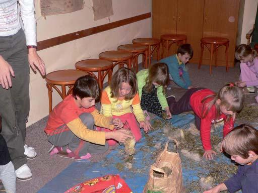 ENVIRONMENTÁLNÍ VÝCHOVA V NÁRODNÍM PARKU A CHRÁNĚNÉ KRAJINNÉ OBLASTI ŠUMAVA NENÍ LES JAKO LES Kde: Kdy: květen říjen Délka programu: 6 7 hodin, cca 8 km Trasa stejná jako při programu Vycházka ke