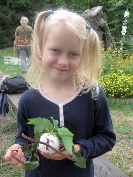 NÁRODNÍ PARK ŠUMAVA JE TOU NEJLEPŠÍ UČEBNOU POD ŠIRÝM NEBEM PUTOVÁNÍ KAPKY VODY Venkovní i vnitřní program Kdy: venkovní září - říjen, duben červen vnitřní celoročně Délka programu: 1 1,5 hod