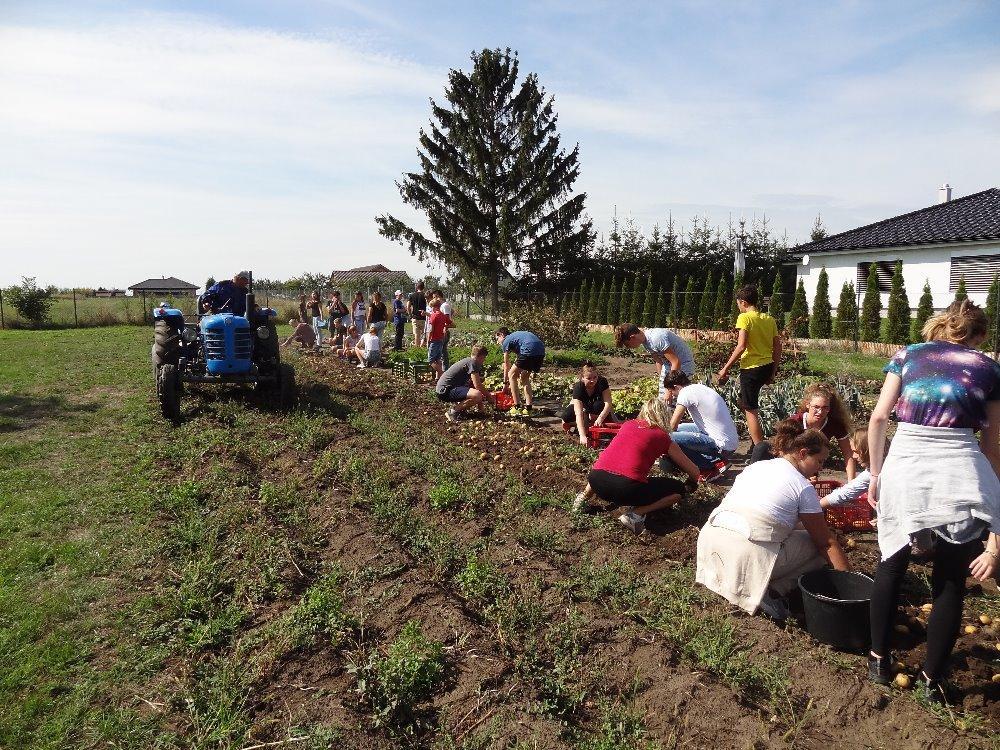 Podzimní práce na školním pozemku. 14. Spolupráce se vzdělávacími institucemi Škola přerušila svoji spolupráci s Pedagogickou fakultou Univerzity Palackého Olomouc.