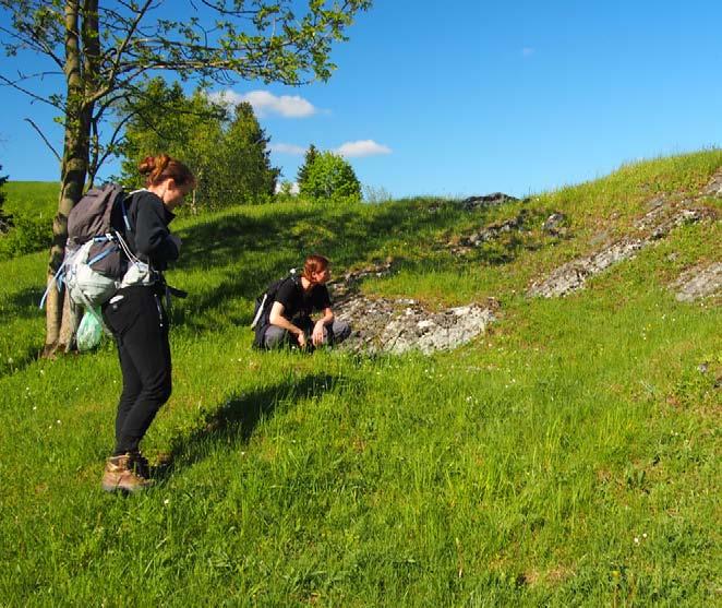 Zprávy Moravskoslezské pobočky