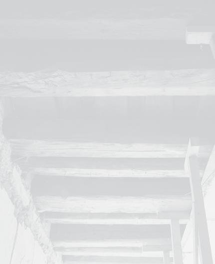 Soubor dřevěných konstrukcí dochovaných v krumlovských klášterech Jiří Bláha Tomáš Kyncl Daniel Šnejd Areál utvářený postupně po dobu bezmála sedmi staletí v sobě skrývá množství autentických