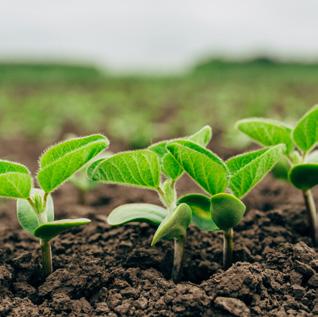PRO VÍCE INFORMACÍ KONTAKTUJTE VAŠEHO PRODEJCE Sací filtry Tlakové filtry Průtok Závit Číslo produktu Cena 160-220 l/min, se zpětnou klapkou 2" 3162473 849,00 200-260 l/min 2" 3172173 861,00 400-800