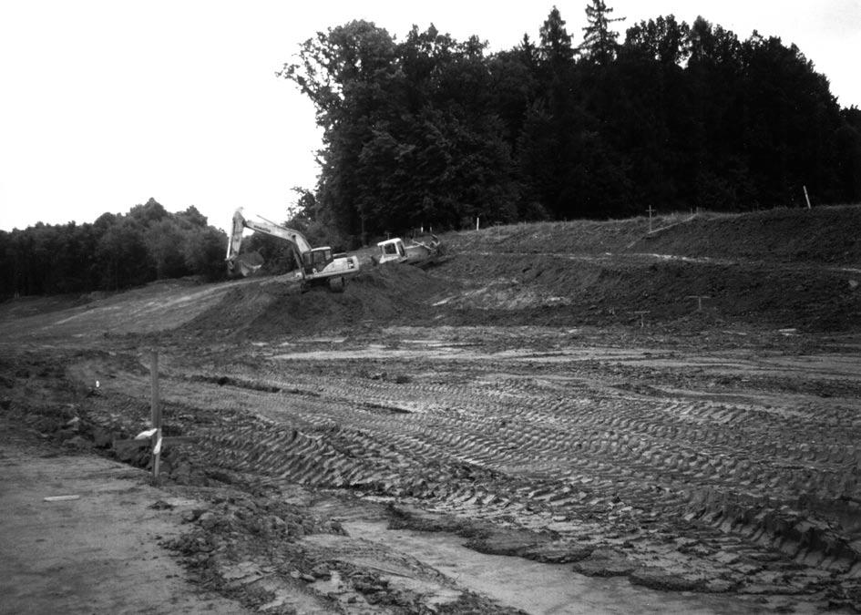18 tvičky dosti hojné a odpovídají zřejmě okrajovým, mělčím podmínkám sedimentace (např. Brzobohatý Cicha 1993, Havíř et al. 2004, J. Tyráček 2006 ústní sdělení).