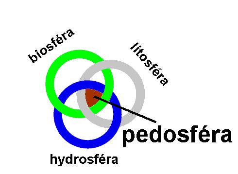 Půda rozhraní mezi systémy přírodní útvar vzniklý na rozhraní litosféry s atmosférou součinností půdotvorných faktorů.