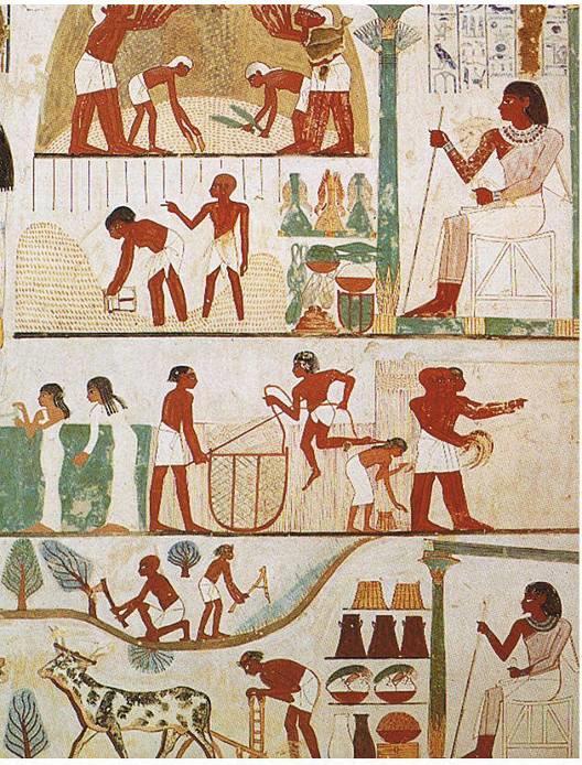 Historie pedologie Historicky spojena se zemědělstvím, zmínky v náboženských textech Mezopotámie, Egypt pěstování plodin v Egyptě záviselo na cyklu řeky Nil.