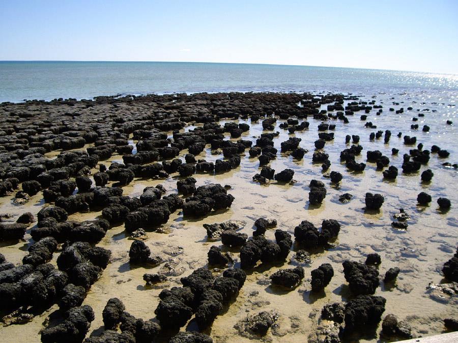 ARCHAIKUM (prahory; 4000-2500 Ma) atmosféra, hydrosféra, jádra kontinentů a nejstarší