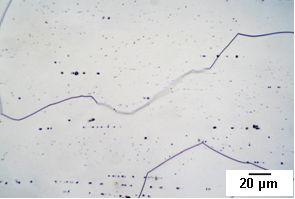 Charakteristic configuration of phases along the boundary Co se týče přesnosti odvozených modelů SPDO, pro slitinu M1 vyšla odmocnina střední kvadratické chyby