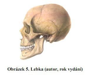 Příklad 1 Odkazy na tabulky, obrázky a grafy v textu V textu musíme průběžně uvádět odkazy na tabulky, grafy a obrázky (Příklad 2): Příklad 2 Výsledky v tabulce 4 ukazují, že nadpoloviční většina