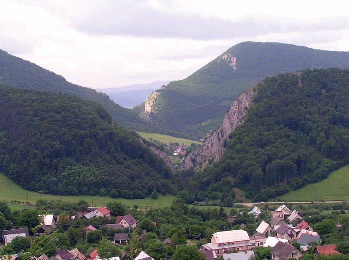 Mikrofotografie křemenné žilky s červíkovitým chloritem z řídečského dolu Jiří.