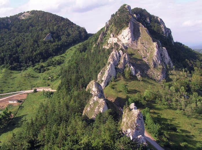 Minerální složení horniny zahrnuje křemen, plagioklas, draselný živec, chloritizovaný biotit,