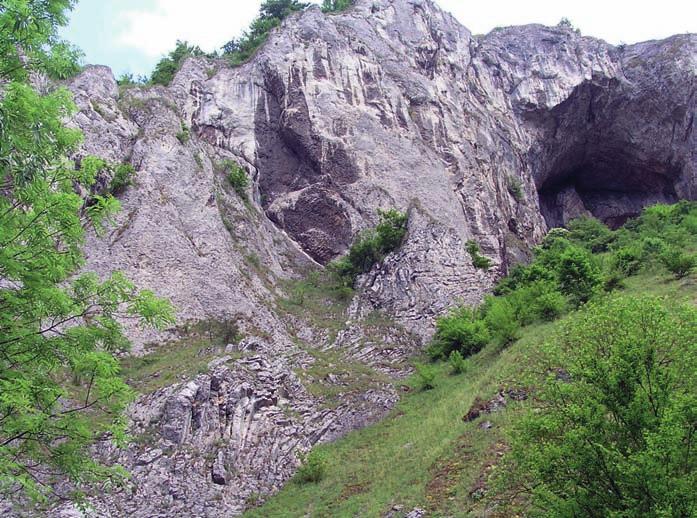 vrchovina). Fotografováno ve zpětně odraženych elektronech (BSE). Autor R. Čopjaková, 2014.