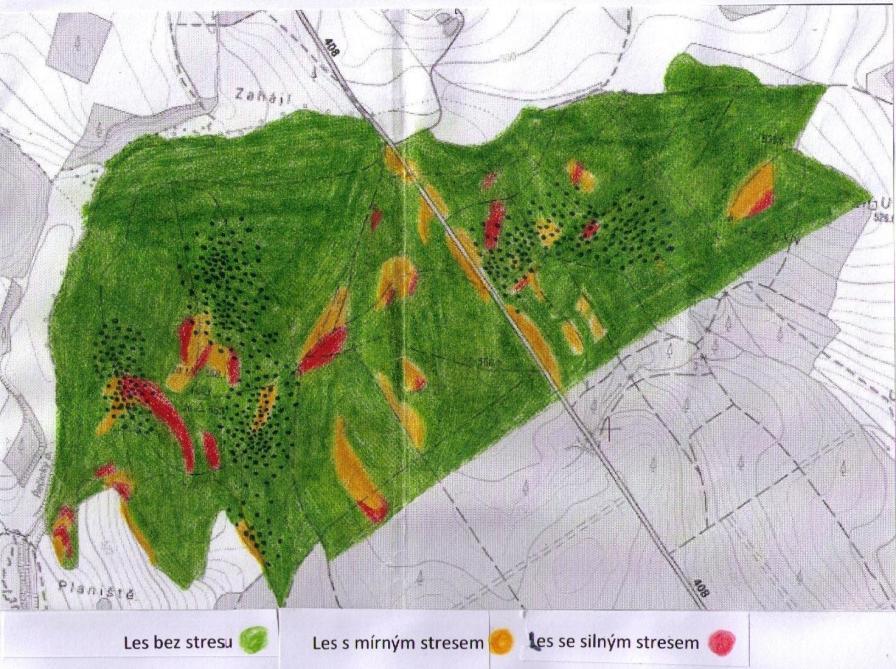 Mapa zdravotního stavu lesa (stres) Charakteristika lokality č. 4 Lokalita č. 4 s názvem Planiště se nachází na jižním svahu kopce Háj. Nadmořská výška lokality činí 545 m 