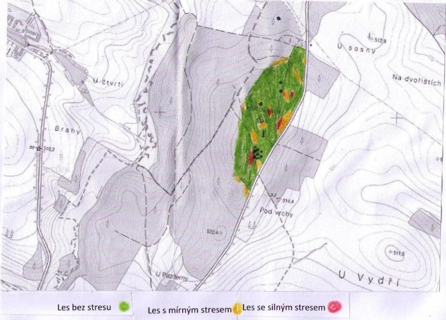 Mapa zdravotního stavu lesa (stres) 8. Charakteristika lokality Lokalita č. 8 leží severozápadně od Vojtova vrchu a v nadmořské výšce 532 m n.m. Ve stromovém patře jednoznačně dominuje smrk ztepilý 85%.
