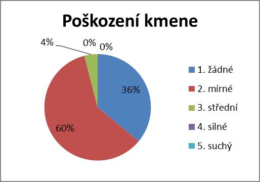 Porovnání mladé a staré smrčiny Mladé smrkové porosty mají méně zlomených vrcholů, což je pravděpodobně způsobené tím, že nedosahují takové výšky, aby jejich vrcholy mohly být jakýmkoli způsobem