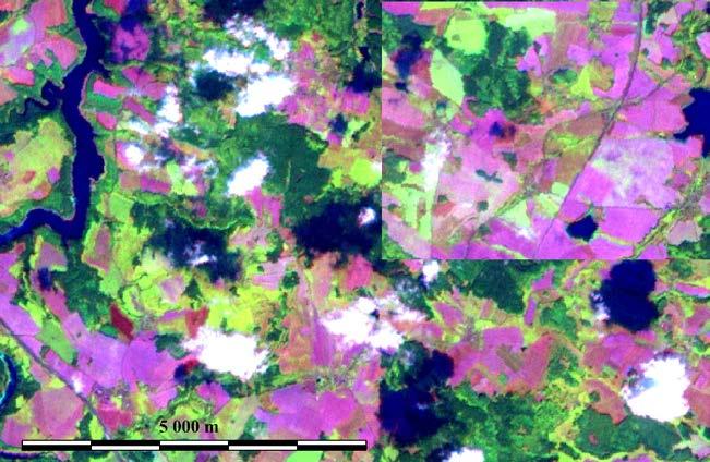 Polohopis, problémy CORINE Land Cover Minimální pás šířky 100 m Minimální mapovaná plocha 25 ha Družicová mapa ČR Landsat ETM+ Nevyrovnaná odrazivost scén - mosaika Problémy s oblačností a stíny LPIS