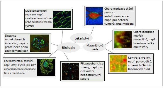 2 Metoda FLIM FLIM (Fluorescence Lifetime Imaging Microscopy) doslovně přeloženo znamená doba života fluorescence snímaná mikroskopem.