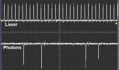 Obr. 10: Pulzní sekvence laseru (nahoře) a detektor signálu (dole) v typické FLIM aplikaci. Frekvence laseru je 80 MHz, rychlost počtu fotonů 10 10 6 fotonů za sekundu [9].