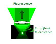 2.2.3 Přímá detekce fluorescence ( non-descanned ) NDD detekce Skutečnost, že fluorescenční signál přichází pouze od ohniska, vede k další výhodě dvou-fotonové excitace: dvou-fotonový mikroskop je