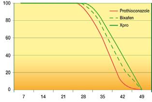 Vyšší výnos Synergie mezi bixafenem a prothioconazolem