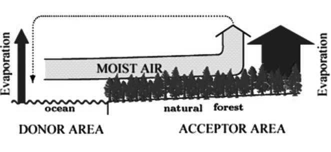 a) Obr. 1. Oběh vody mezi oceánem a pevninou s a) funkčním lesem (akceptor vlhkosti) b) odlesněnou pevninou (donor vlhkosti).