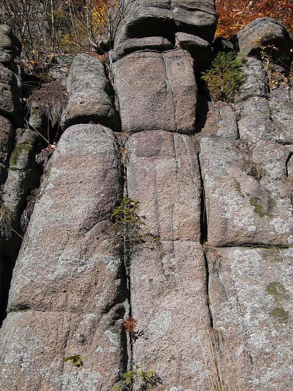 antropogenní - FYZIKÁLNÍ PŘÍRODNÍ EXOGENNÍ