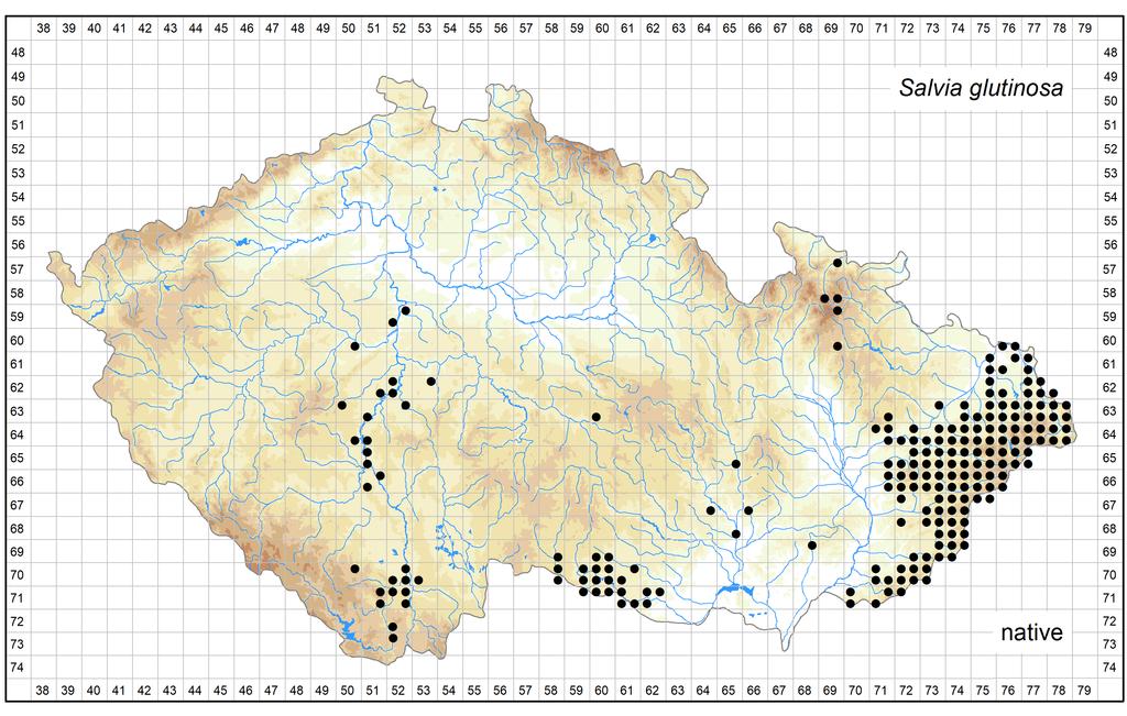 Distribution of Salvia glutinosa in the Czech Republic Author of the map: Jitka Štěpánková Map produced on: 12-06-2018 Database records used for producing the distribution map of Salvia glutinosa