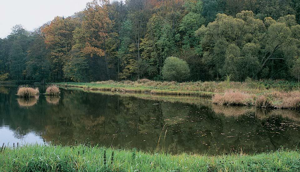 PlzeÀsko a Karlovarsko Rybníãek Hrad u obce Neãtiny. fií jeho hydrologickou osu ve smûru JV SZ. Jejími hlavními pfiítoky jsou Mladotick, Kralovick a Manûtínsk potok.