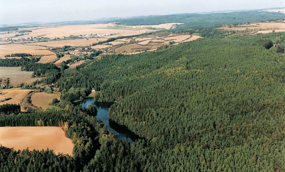 PlzeÀsko a Karlovarsko Nejvût í sesuvem hrazené jezero v âr se nachází v údolí Mladotického potoka v Petrohradské pahorkatinû. ornou pûdu místy na lesní (borové a smrkové) monokultury.