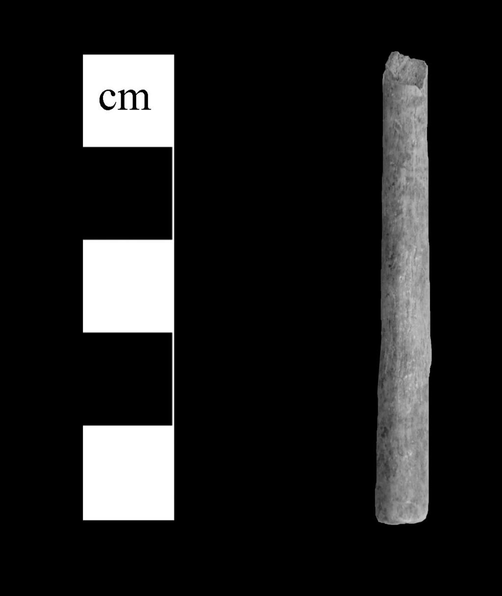 Obrázek 3. Kost opracovaná do podoby kostěné tyčinky z doby římské. Obrázek 4.