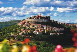 com Web: www.central-istria.