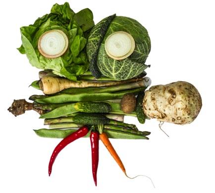Dossier : Économie circulaire Téma: Cirkulární ekonomika («La Terre dans votre assiette») a pour but de nous éclairer et de nous inspirer.