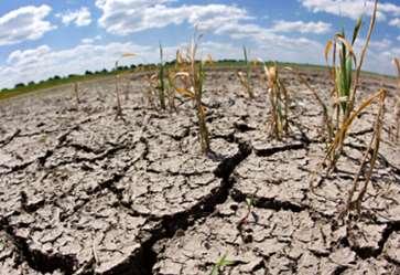 1. Úvod do problému Klima má pro život na Zemi rozhodující vliv (srážky, teplota, vlhkost) bez vody a potravin není život na