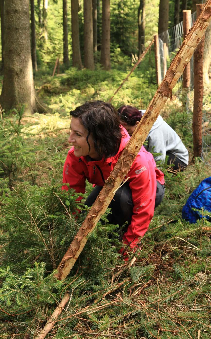 V březnu proběhly první dvě školení na novou techniku od Angela Seminara Imprinting.