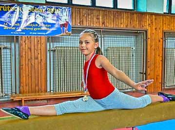 Poruba) Vrútocký pohár v gymnastickom trojboji Ďalšiu gymnastickú radosť sme zažili 19. 6. 2010 v spolupráci s SGF vo Vrútkach, kde sa konal 14.
