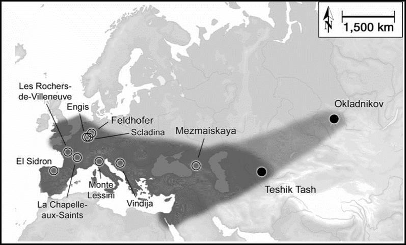 6) Další nálezy a izolace neandrtálské DNA Krings et al.