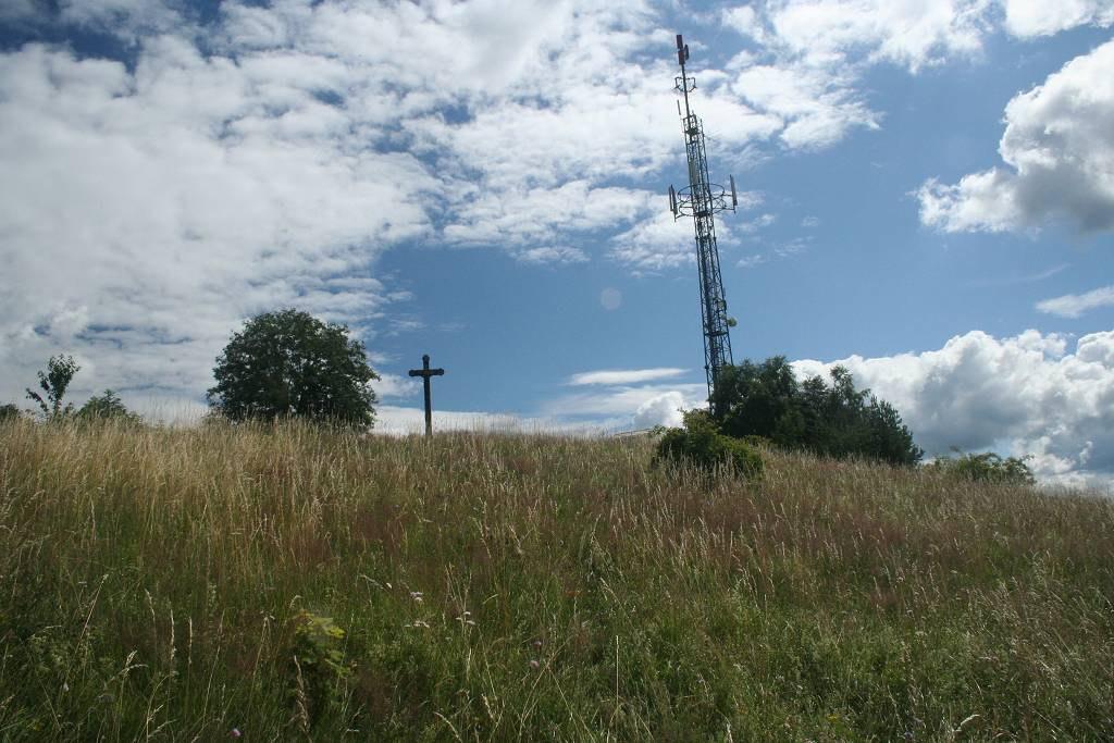 Botanický inventarizační průzkum lokality Homolka u Vimperka Libor Ekrt 1 & David Půbal 2 2009 1 Katedra botaniky, Přírodovědecká fakulta, Jihočeská univerzita