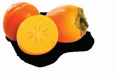 Kaki